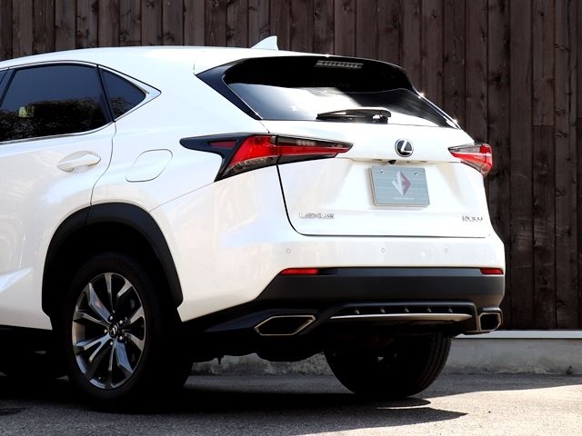 LEXUS NX300