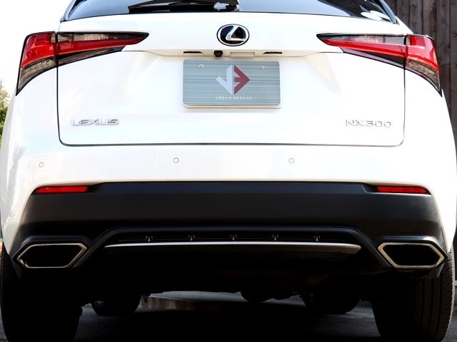 LEXUS NX300