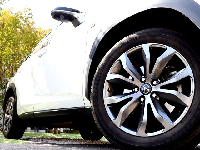 LEXUS NX300