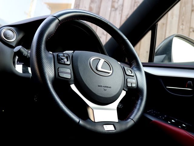 LEXUS NX300
