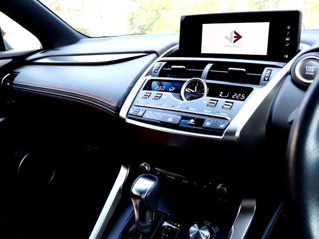 LEXUS NX300