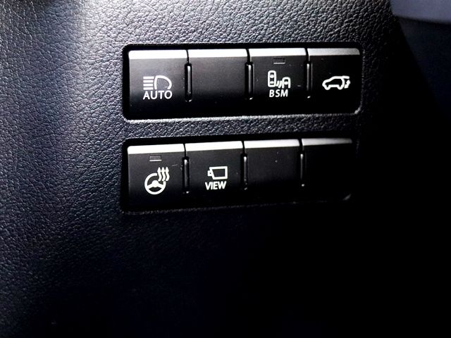 LEXUS NX300