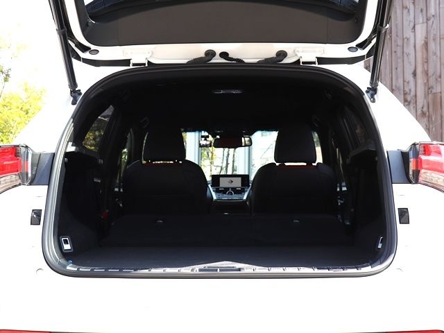 LEXUS NX300