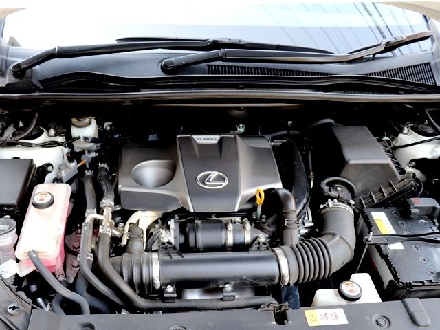 LEXUS NX300