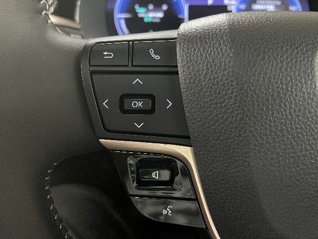 CROWN SPORT