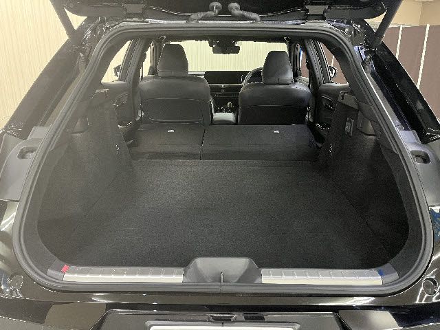 CROWN SPORT
