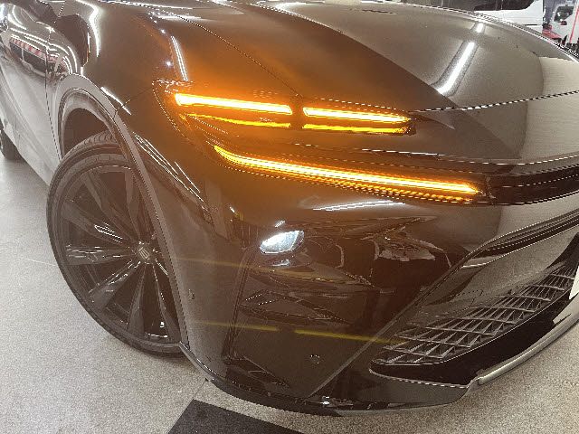 CROWN SPORT