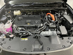 CROWN SPORT