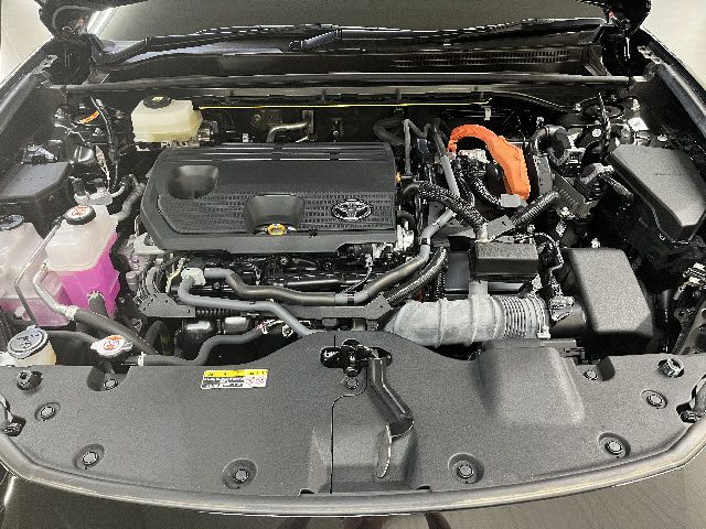 CROWN SPORT