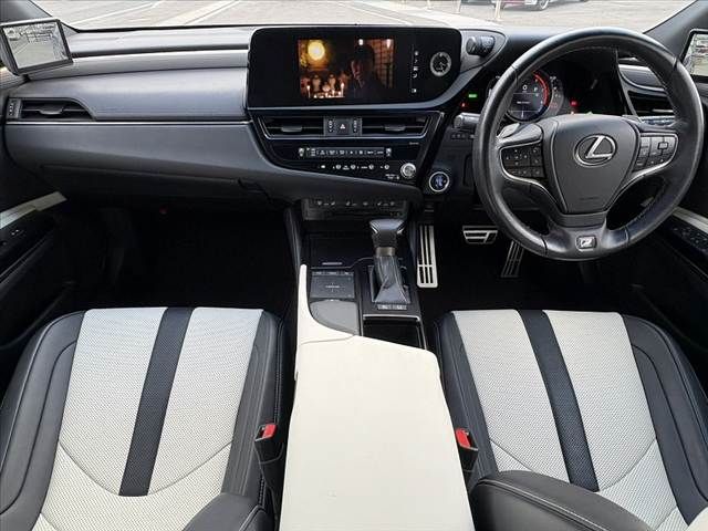 LEXUS ES300h
