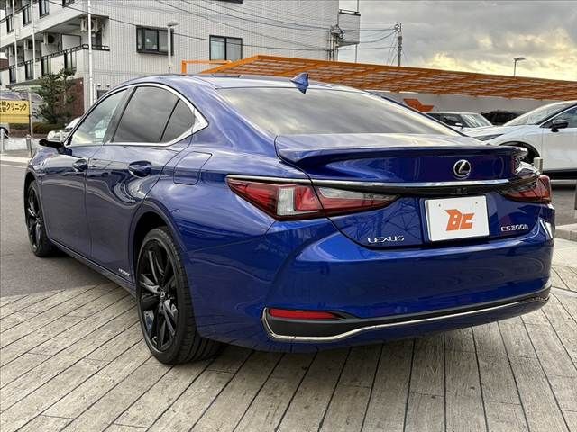LEXUS ES300h