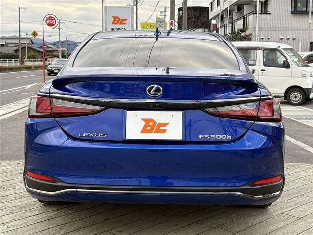LEXUS ES300h