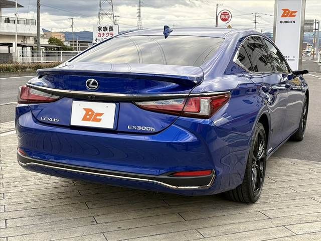 LEXUS ES300h