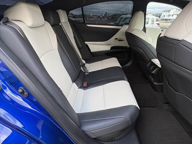 LEXUS ES300h