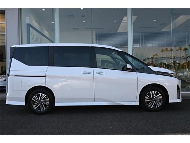 SERENA  WG
