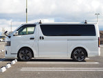 REGIUSACE van 2WD