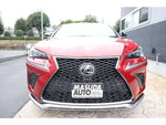 LEXUS NX300