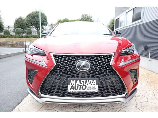 LEXUS NX300