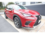 LEXUS NX300
