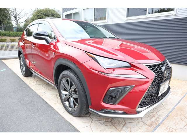 LEXUS NX300