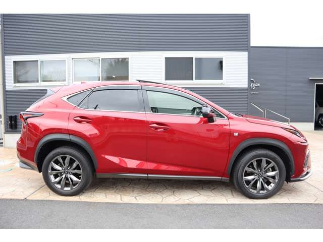 LEXUS NX300