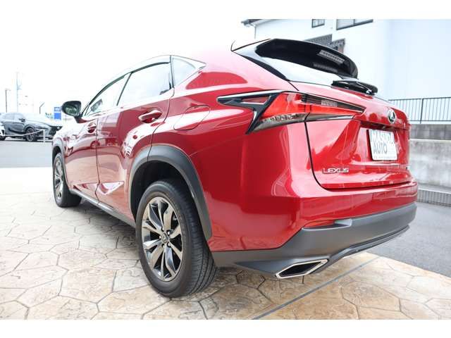 LEXUS NX300