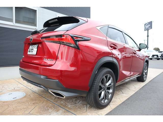 LEXUS NX300