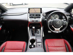 LEXUS NX300