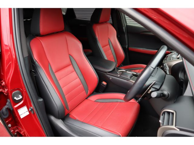 LEXUS NX300