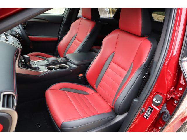 LEXUS NX300