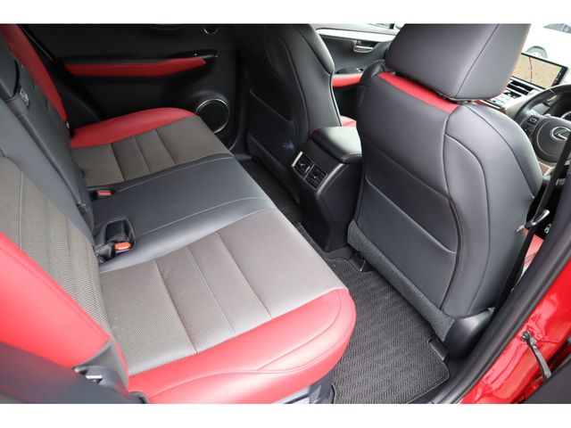 LEXUS NX300