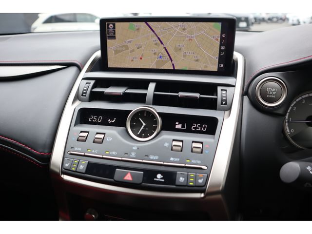 LEXUS NX300