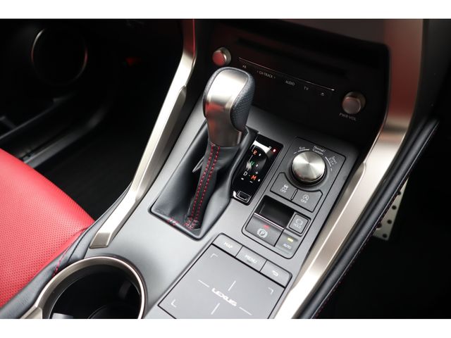 LEXUS NX300