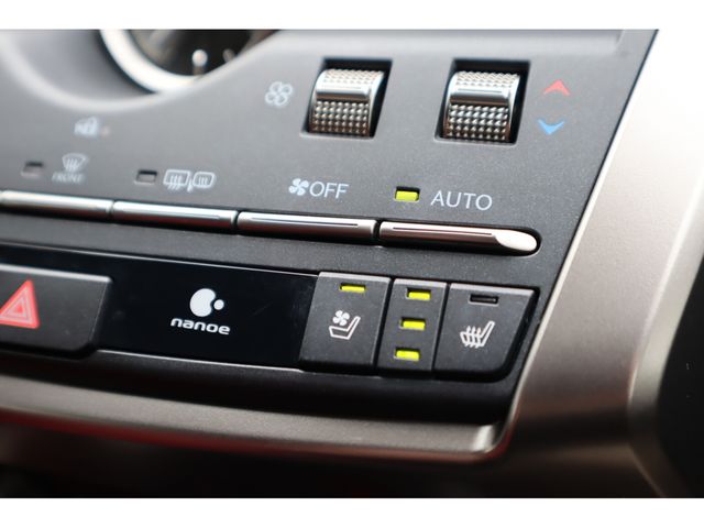 LEXUS NX300