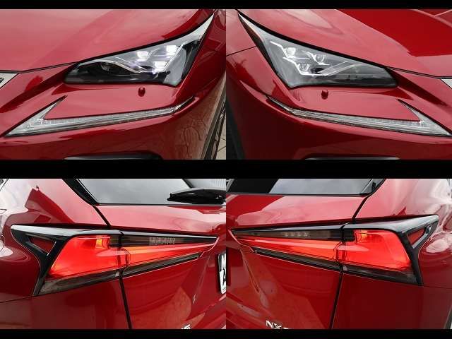 LEXUS NX300