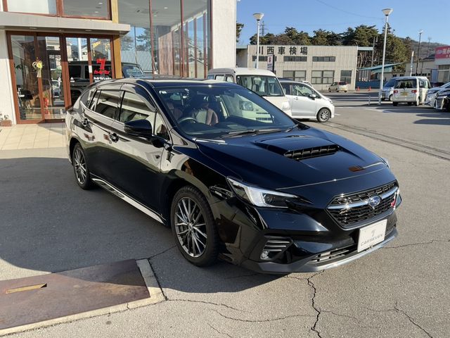 LEVORG