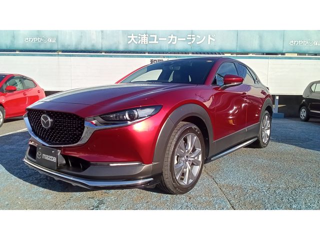 CX-30
