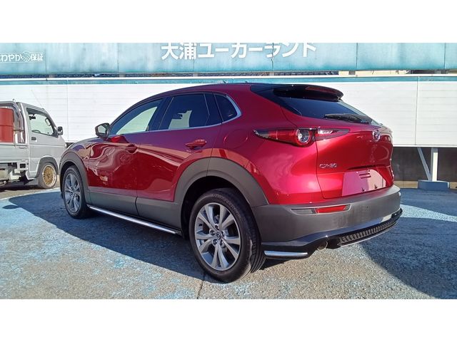 CX-30