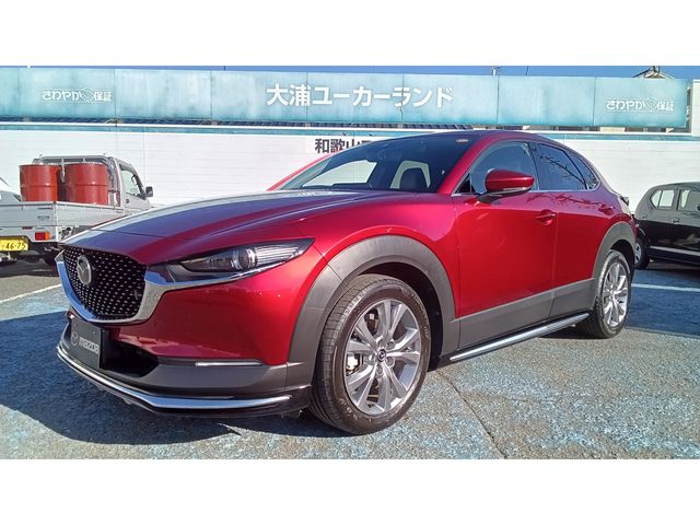 CX-30