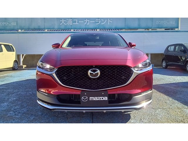 CX-30