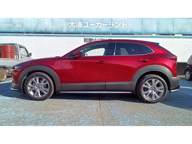CX-30