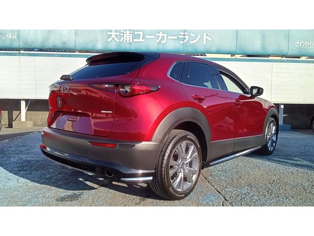 CX-30