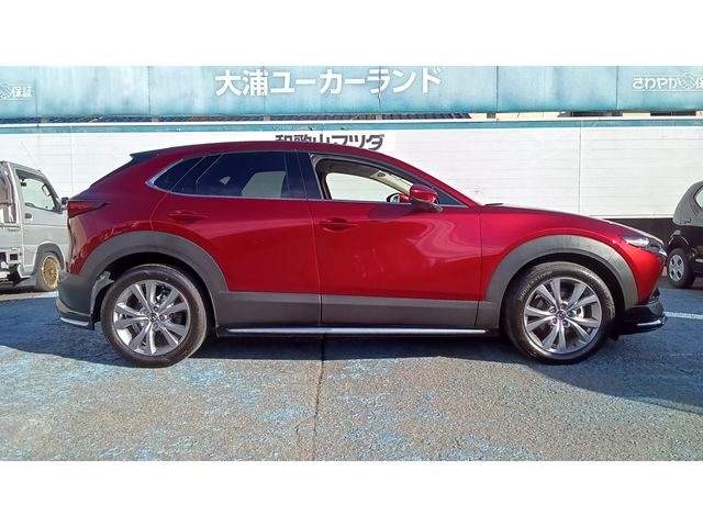 CX-30