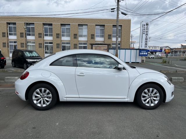 VOLKSWAGEN The BEETLE